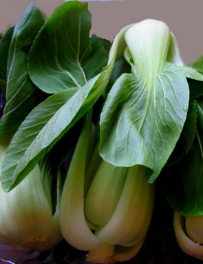 Garlic Baby Bok Choy Garlic Baby Bok Choy picture
